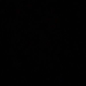 Meet your Posher, Griffin